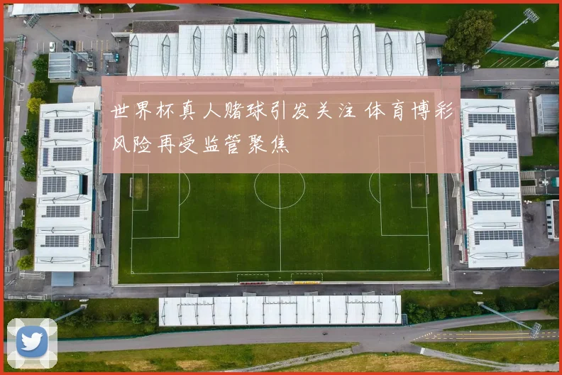 世界杯真人赌球引发关注 体育博彩风险再受监管聚焦